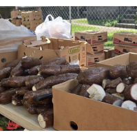 Food Distribution