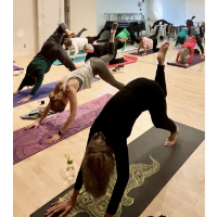 Multilevel Yoga