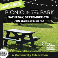 The Picture House: Picnic in the Park