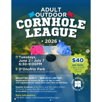 Adult Outdoor Cornhole League 2026
