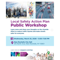 Local Safety Action Plan Public Workshop