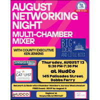 August Networking Night: Multi-Chamber Mixer