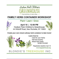 Family Herb Container Workshop