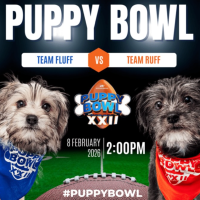 Puppy Bowl Sunday