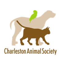 EUTHANASIA DROPS 43% IN FIRST YEAR OF CHARLESTON ANIMAL SOCIETY AND BERKELEY COUNTY PARTNERSHIP