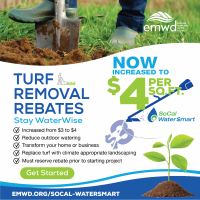 EWMD Increases Funding for Turf Removal Rebate Program