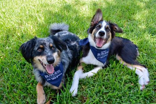 Imprinted bandanas