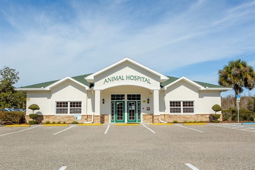 Gallery Image Main_Page.jpg