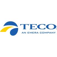 From Seagrass to Shorelines: TECO’s Commitment to Environmental Stewardship