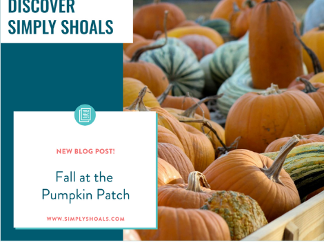 Image for Fall at the Pumpkin Patch