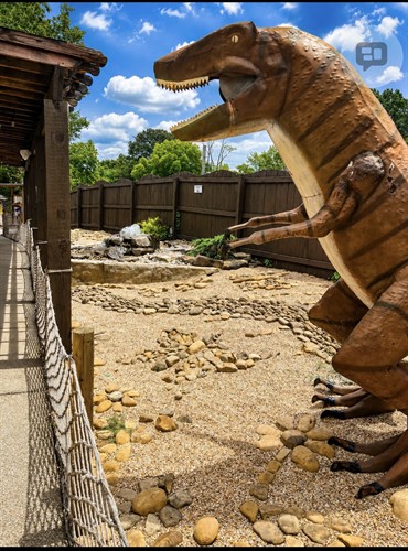 T-Rex Dinosaur