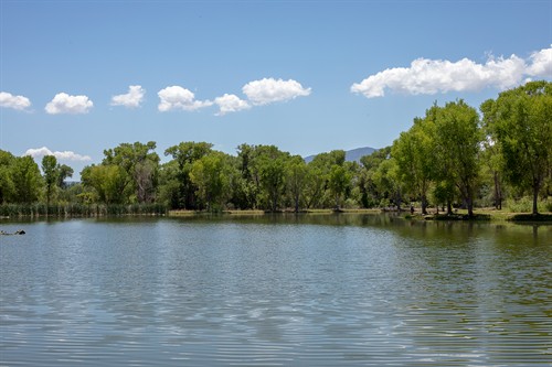 Dead Horse Ranch State Park