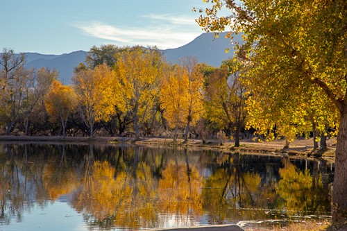 Dead Horse Ranch State Park fall