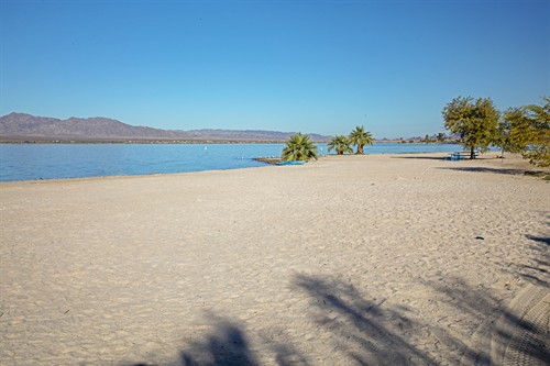 Beach at Lake Havasu State Park