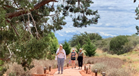 Sedona Vortex Healing Retreat