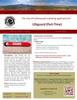 PT Lifeguard