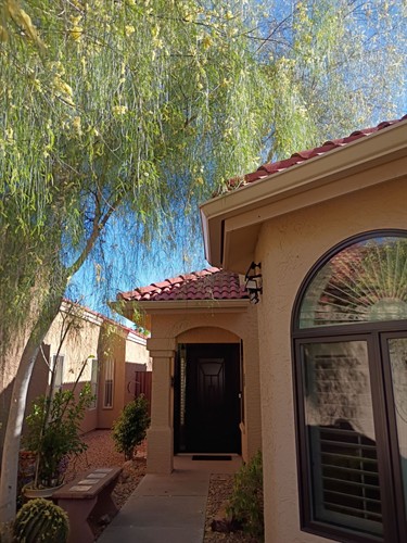 Gallery Image down-net_http20260406-236-oy6muh.jpg