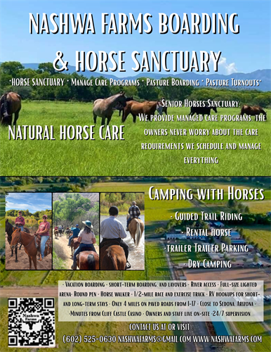 Horse Sanctuary  
