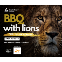 BBQ with the Lions (Family Friendly)