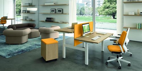 Gallery Image colour_in_office_3.jpg