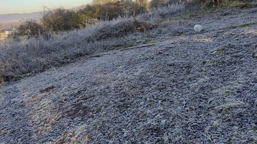 Beautiful in all weathers