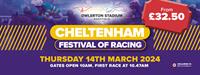 Cheltenham Festival 2024 at Owlerton Stadium