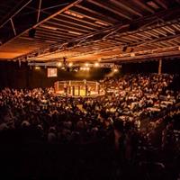 The Explosive Growth of MMA: A Thriving Industry in the UK