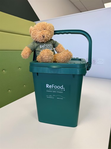 Gallery Image Caddy_Bear.jpg