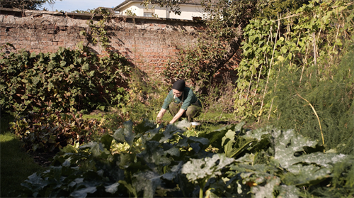 Gallery Image Organic_Gardening_(1).png