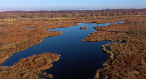 Gallery Image Peatlands_2.jpg Gallery Image Peatlands_2.jpg