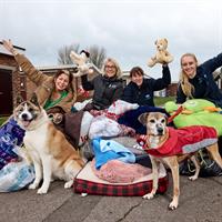 Dog lovers unite to help local RSPCA centre