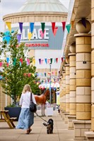 Treasure-hunting favourite YoRRRShop to pop up at Lakeside Village