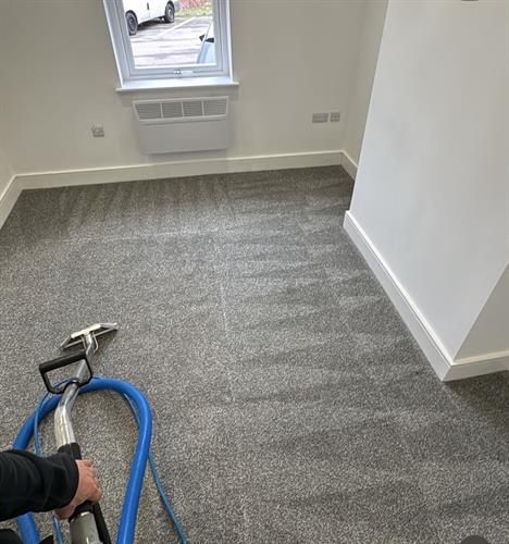 Carpet Cleaning
