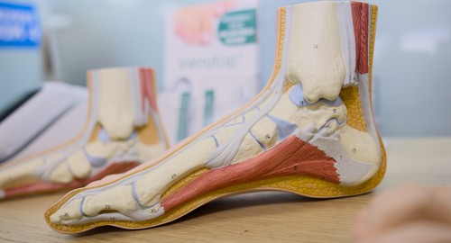 Gallery Image Doncaster_Foot_Clinic15.jpg