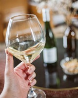 Cheese & Wine Pairing Evening - Badger Pantry, The Hive, Yorkshire Wildlife Park