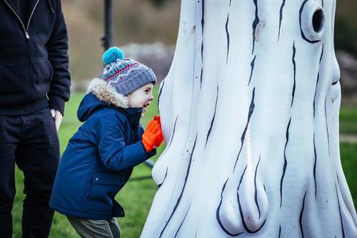Trees - Photo by James Mulkeen