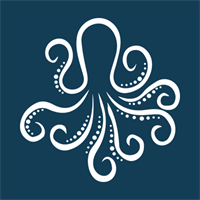 Juggling Octopus Business Support