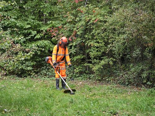 Gallery Image 20251014_151734.jpg