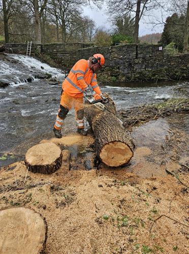 Gallery Image 590653585_848899461431000_2423229523976525526_n.jpg