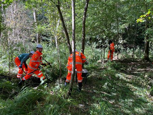 Stewardship Skills Scheme participants at Breedon