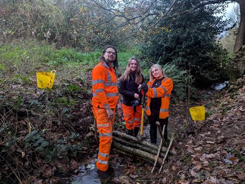 Gallery Image Media_(15).jpg