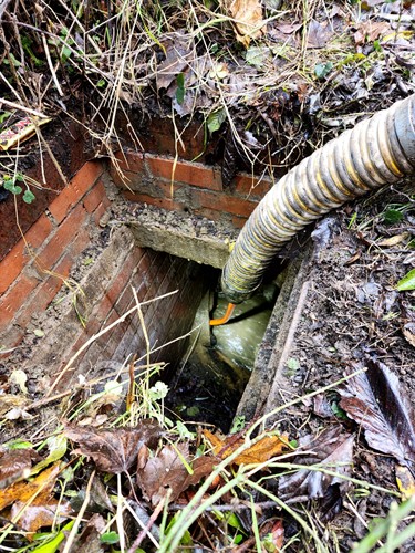 Gallery Image WhatsApp_Image_2025-12-19_at_11.22.26_(1).jpeg