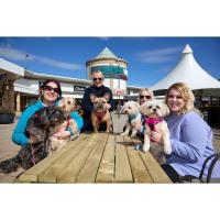 Could Your Dog Help Lakeside Village Launch Its New Mutt Hut?	