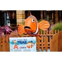 Exciting summer events lined up for Lakeside Village this weekend 