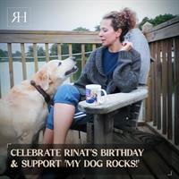 Celebrate Rinat's Birthday & Support ''My Dog Rocks!''