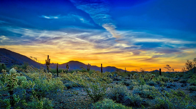 Image for What’s New at GVACC? Exciting Updates & Upcoming Events!