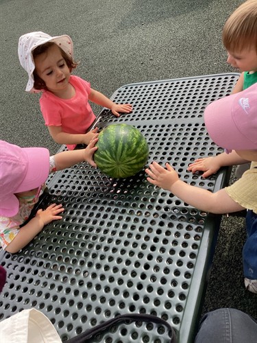 Gallery Image Outside_Watermelon_elmhurst_premier_childcare.jpg