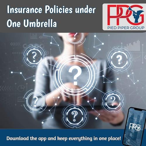 Pied Piper Group best insurance rates
