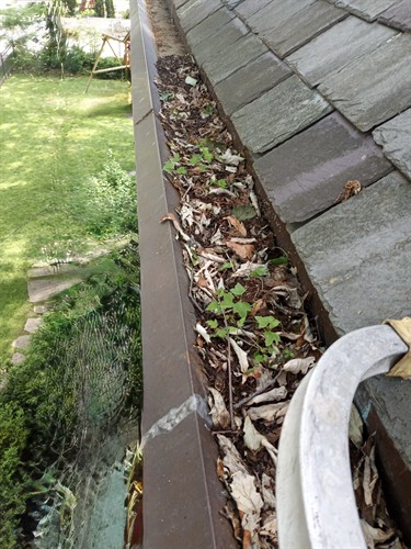 LA MCMAHON GUTTER CLEANING 1-800-820-6155
