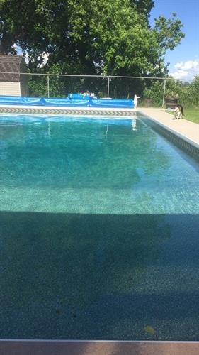 Balanced water in a pool with a brown liner